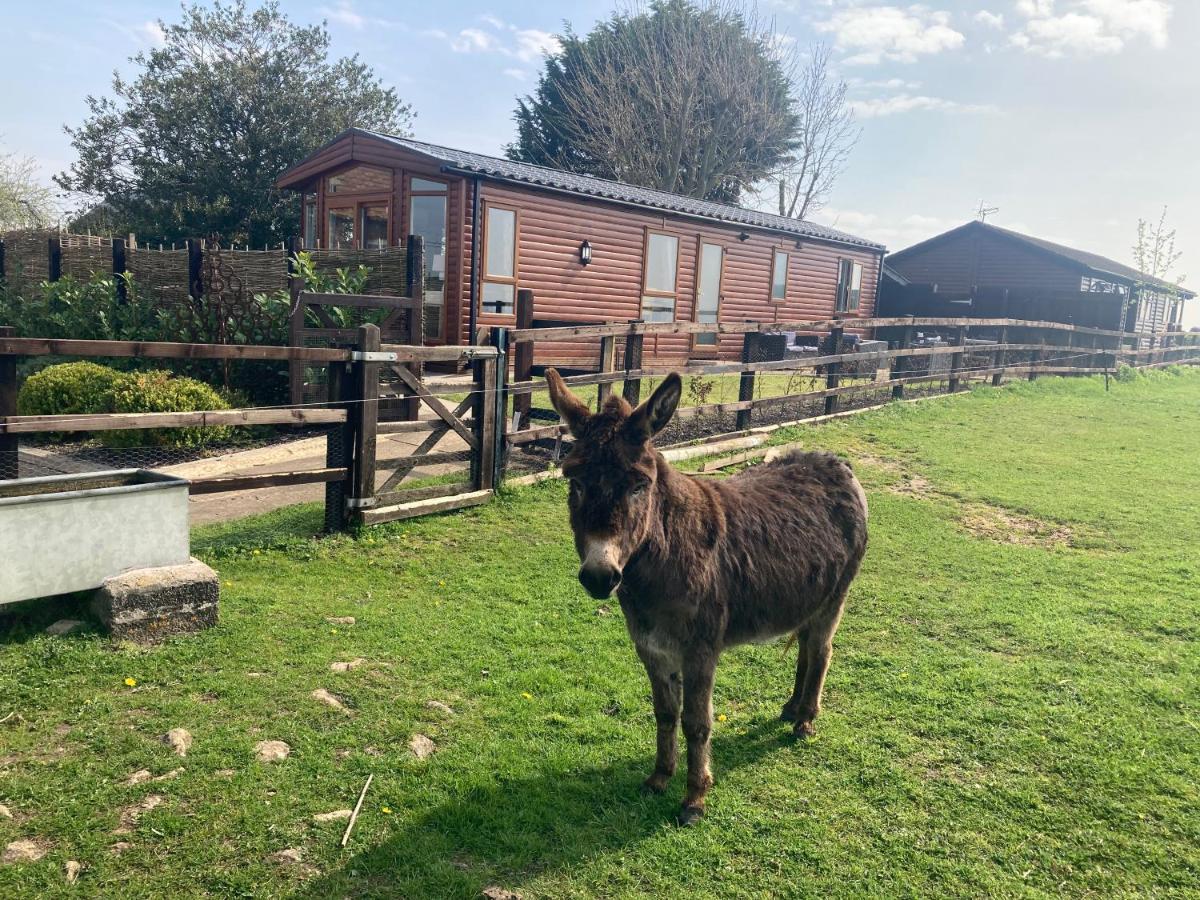 מלקשאם Rew Farm Country And Equestrian Accommodation - Sunset Lodge מראה חיצוני תמונה